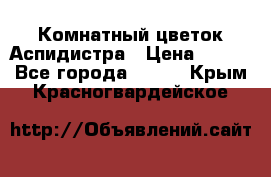 Комнатный цветок Аспидистра › Цена ­ 150 - Все города  »    . Крым,Красногвардейское